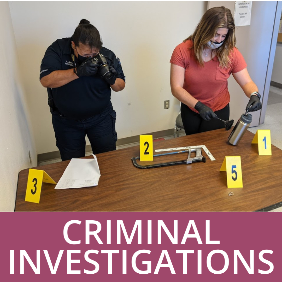 Criminal Investigation Services